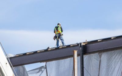 5 Easy Tips & Tricks for Finding a Reliable Roofer